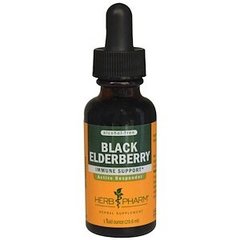 Черная бузина, Black Elderberry, Herb Pharm, 29,6 мл - фото