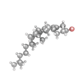 Витамин Д3, со вкусом арбуза, Vitamin D-Rex, Kal, 600 МЕ, 120 таблеток - фото