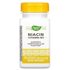 Витамин В3, Niacin, Nature's Way, 100 мг, 100 капсул - фото