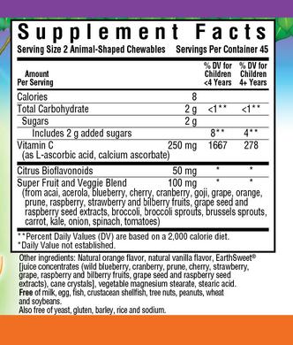 Мультивітаміни для дітей, Rainforest Animalz, Bluebonnet Nutrition, смак апельсин, 90 жувальних таблеток - фото