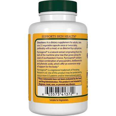 Екстракт соснової кори, Pycnogenol, Healthy Origins, 100 мг, 60 капсул - фото