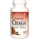 Чага, Chaga, Planetary Herbals, 1000 мг, 120 таблеток, фото – 1