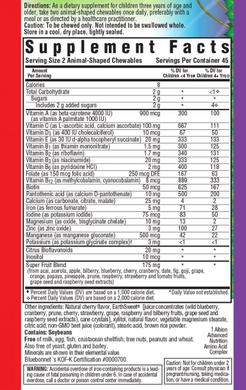 Мультивитамины для детей, Rainforest Animalz, Bluebonnet Nutrition, вкус вишни, 90 жевательных таблеток - фото