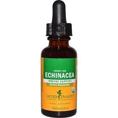 Ехінацея, екстракт кореня, Echinacea, Herb Pharm, органік, 30 мл - фото