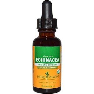 Эхинацея, экстракт корня, Echinacea, Herb Pharm, органик, 30 мл - фото