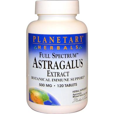 Екстракт Астрагала, Astragalus, Planetary Herbals, 500 мг, 120 таблеток - фото