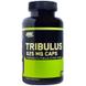 Потенцер Трибулус, 625 мг, Tribulus, Optimum Nutrition, 100 капсул, фото – 1