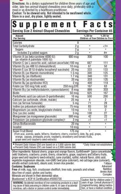 Мультивітаміни для дітей, Rainforest Animalz, Bluebonnet Nutrition, смак фрукти, 90 жувальних таблеток - фото