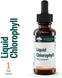 Рідкий хлорофіл, Liquid Chlorophyll, Genestra Brands, 25 мг, 30 мл, фото – 1