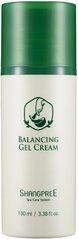 Крем-гель для інтенсивного зволоження шкіри, Balancing Gel Cream, Shangpree, 100 мл - фото