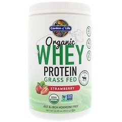 Сироватковий протеїн, полуниця, Whey Protein, Garden of Life, органік, 393,5 г - фото