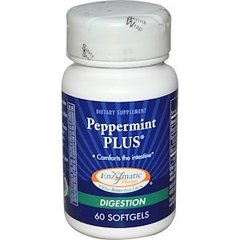 Мята плюс, Peppermint, Enzymatic Therapy (Nature's Way), 60 капсул - фото