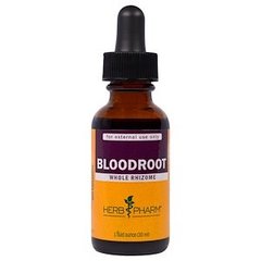 Перстач корінь, екстракт, Bloodroot, Herb Pharm, органік, 30 мл - фото