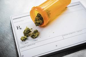 Медицинская марихуана при хронической боли – исследовательские факты