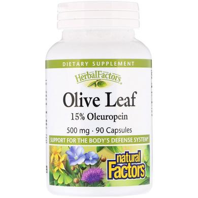 Екстракт оливкового листя, Olive Leaves, 500 мг, Natural Factors, 90 капсул - фото