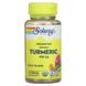 Куркума ферментированная, Turmeric, Solaray, органик, 425 мг, 100 вегетарианских капсул, фото – 1