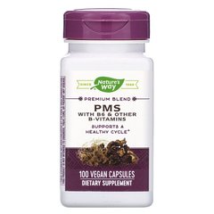 ПMС формула с витамином В6, PMS with B6 & Other B-Vitamins, Nature's Way, Nature's Way, 100 вегетарианских капсул - фото