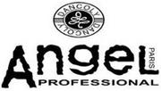 Angel Professional логотип