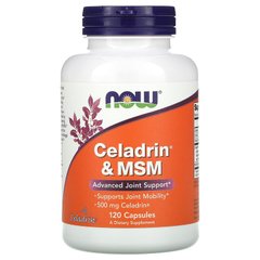 Целадрин и МСМ, Celadrin & MSM, Now Foods, 500 мг, 120 капсул - фото