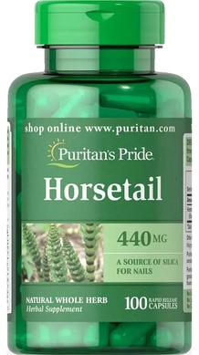 Хвощ польовий, Horsetail, Puritan's Pride, 440 мг, 100 капсул - фото