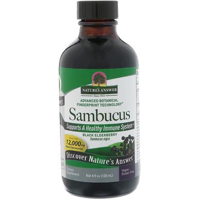 Черная бузина, экстракт, Sambucus, Nature's Answer, 12000 мг, 120 мл - фото