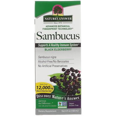 Черная бузина, экстракт, Sambucus, Nature's Answer, 12000 мг, 120 мл - фото