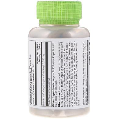 Боярышник, экстракт ягод, Hawthorn, Solaray, для веганов, 525 мг, 180 капсул - фото