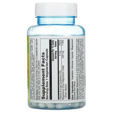 Магний и витамин В-6, Magnesium Vitamin B-6, Nature's Life, 500 мг, 100 капсул - фото