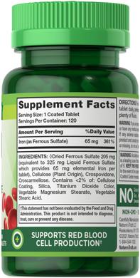 Железо, Iron, 65 мг, Nature's Truth, 120 вегетарианских таблеток - фото