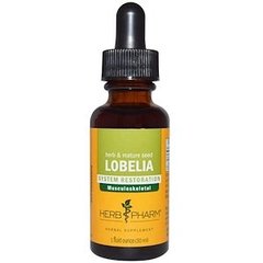 Лобелія, Lobelia, Herb Pharm, екстракт, 30 мл - фото