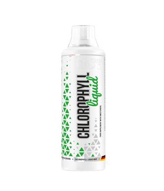 Хлорофил,Chlorophyll, MST, 500 мл - фото