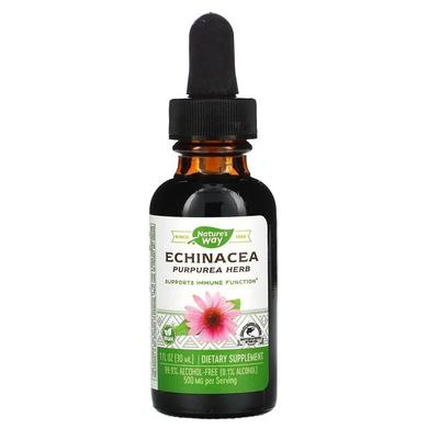 Ехінацея без спирту (Echinacea), Nature's Way, 99.9%, 30 мл - фото