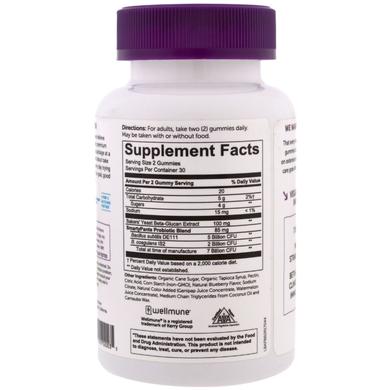 Пробиотики для взрослых, Adult Probiotic Complete, SmartyPants, вкус черники, 60 жевательных конфет - фото