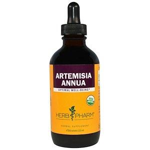 Полин однорічний, Artemisia Annua, Herb Pharm, 120 мл - фото