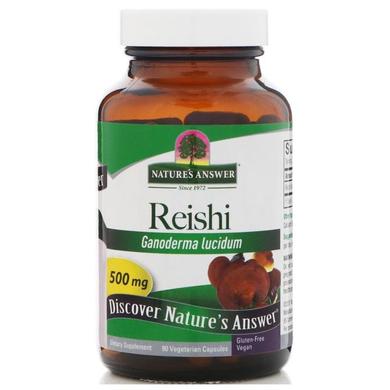 Грибы рейши (Reishi), Nature's Answer, 500 мг, 90 капсул - фото