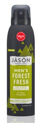 Сухий Дезодорант спрей для чоловіків Лісова Свіжість, Jason Natural, 113 мл - фото