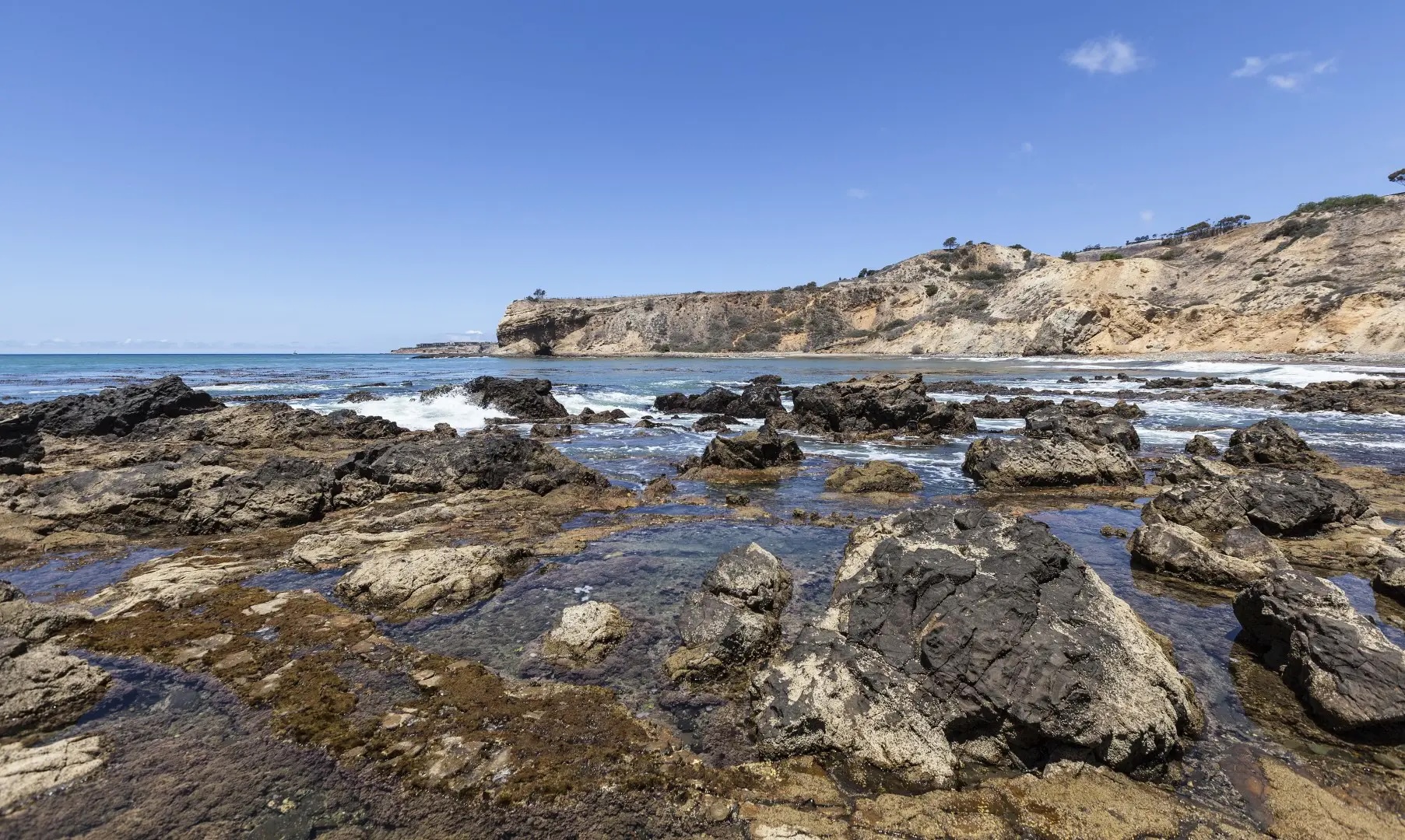 Abalone Cove Beach